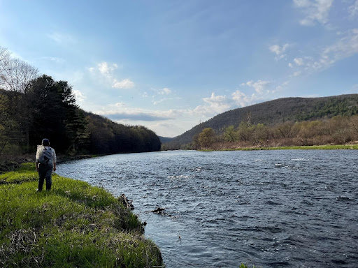 An angler stands last year on the banks of the West Branch of the Upper Delaware at Cole’s Pool, in Starlight, PA.